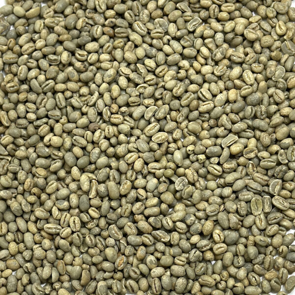 Tanzania: Peaberry, Kilimanjaro