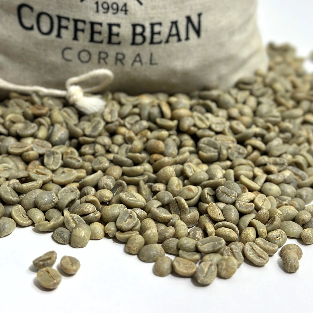 Mexico: Rancho San Francisco, Chiapas - Image 5