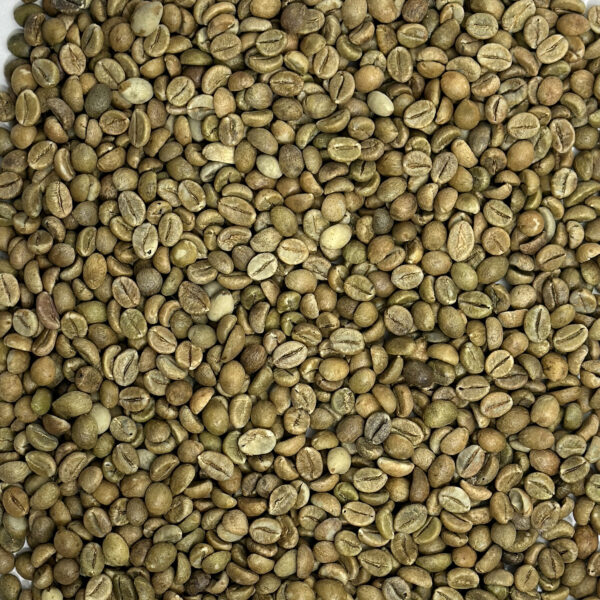 India: Cherry Robusta