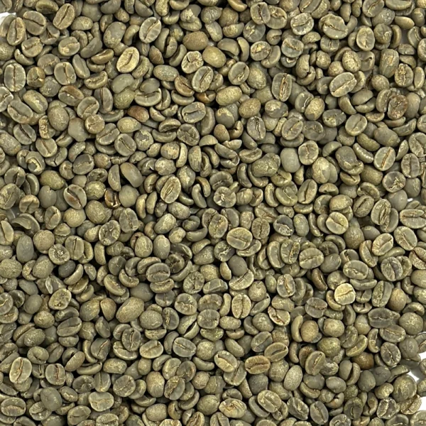 Brazil: Sweet Blue, Daterra Estate - Image 2